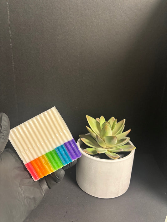 Taste My Rainbow Bar Soap